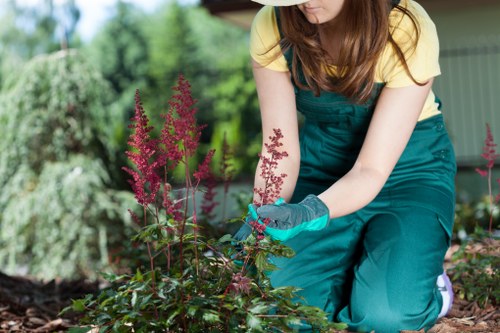 Sustainable landscaping features in Camden