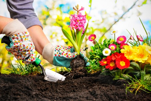 In a garden scene, a person wearing gardening gloves is planting a pink hyacinth flower into dark, moist soil. To the right, a colorful array of flowering plants is visible, including vibrant yellow, red, white, and pink blooms, situated in a well-maintained flower bed. The background features blurred greenery and a blue sky with some clouds, indicating a bright, sunny day. The garden area includes a neatly edged lawn and a variety of flowering plants arranged in a natural, aesthetic manner. This scene depicts outdoor gardening activity typical of a residential garden in Camden, with fresh, healthy plants and prepared soil awaiting further planting or maintenance, supporting a professional gardening service such as Lawn Mowing Camden.